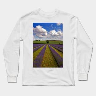Lavender Field Purple Flowers Cotswolds England Long Sleeve T-Shirt